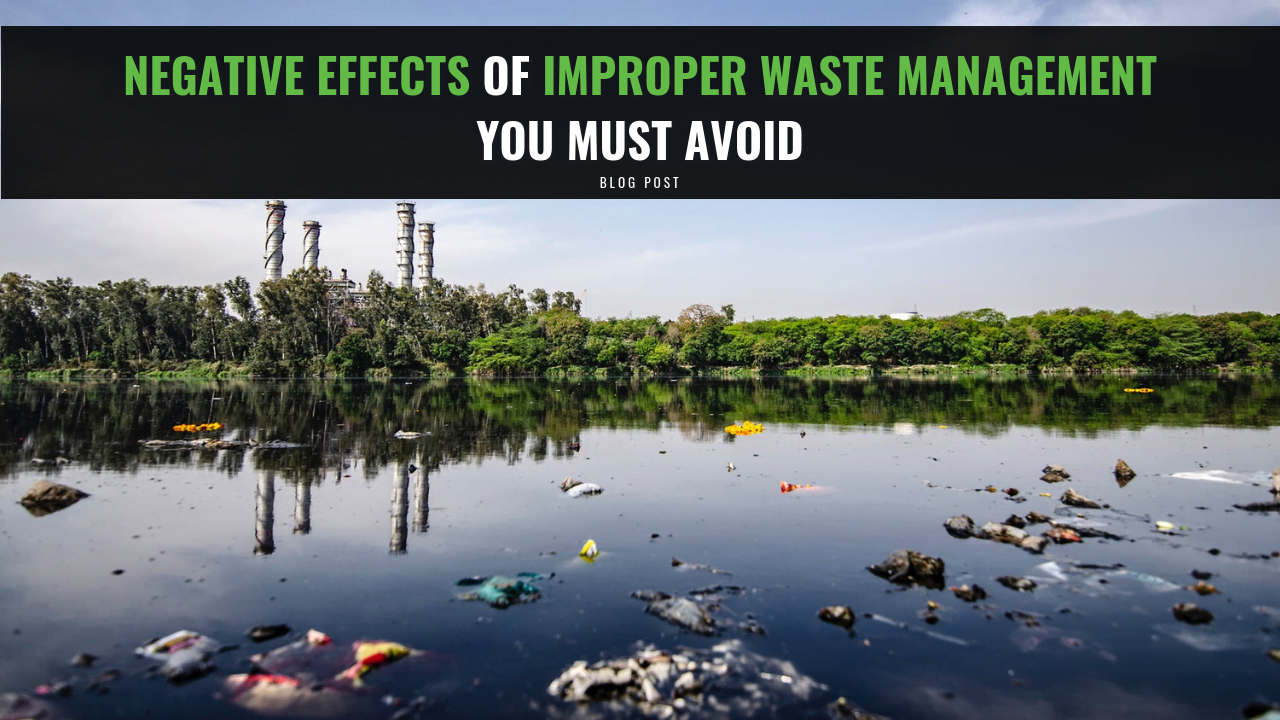 Negative Effects Of Improper Waste Management You Must Avoid - Backsafe ...